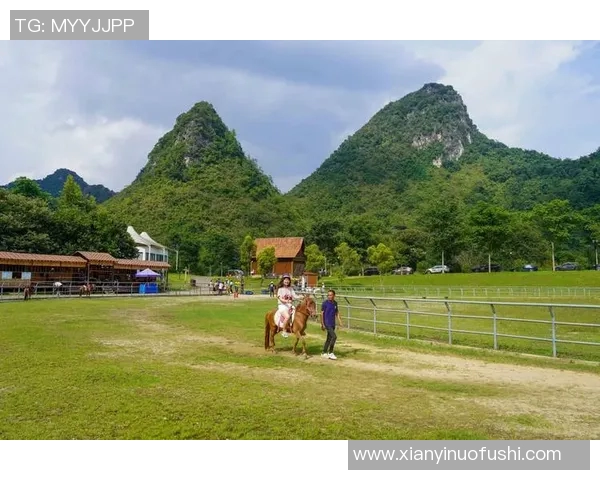 足球明星矮脚马的精彩瞬间与独特魅力全景展示