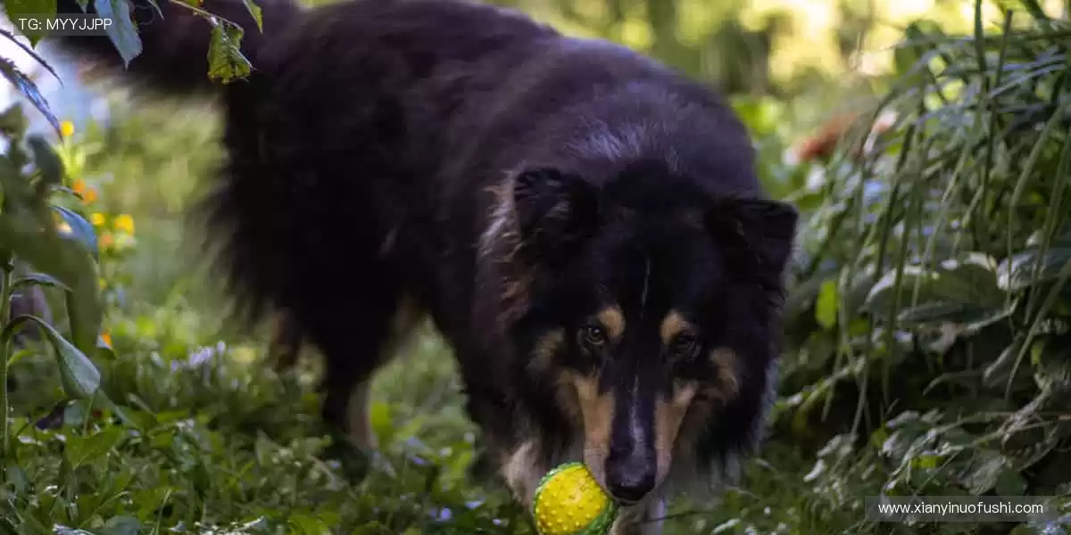 全球赛事，同步开启！🌍🎥 体育直播，打破时空界限！